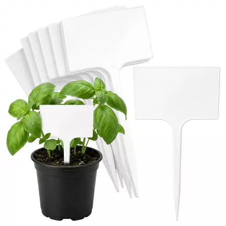 Tabliczka do opisu roślin...