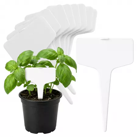 Tabliczka do opisu roślin...