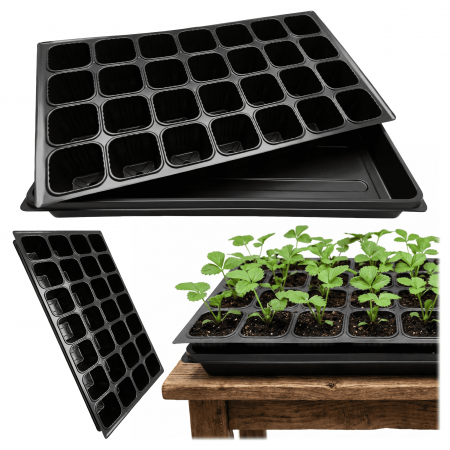 Wielodoniczka 28 komórek +...