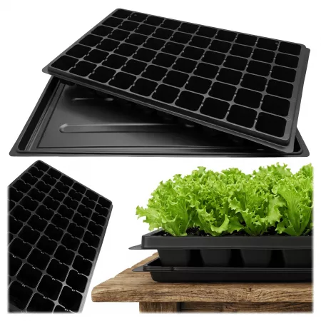 Wielodoniczka 60 komórek +...