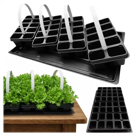 Wielodoniczka 40 komórek +...