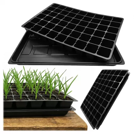 Wielodoniczka 54 komórki +...