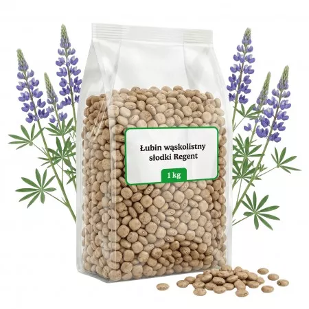 Łubin wąskolistny słodki 1kg